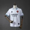 Arsenal Especial Cuadros 2025-26 - Versión Fan