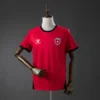 Jordania Visitante 2026 - Versión Fan