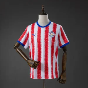 Paraguay Local 2026 - Versión Fan