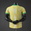 Brasil Heritage 2026 - Versión Jugador