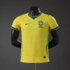Brasil Local 2026 - Versión Jugador