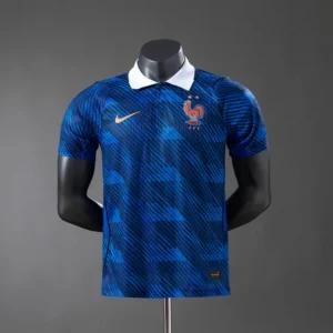 Francia Local 2026 - Versión Jugador